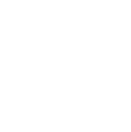 Mundo Canábico Cursos Cannabis